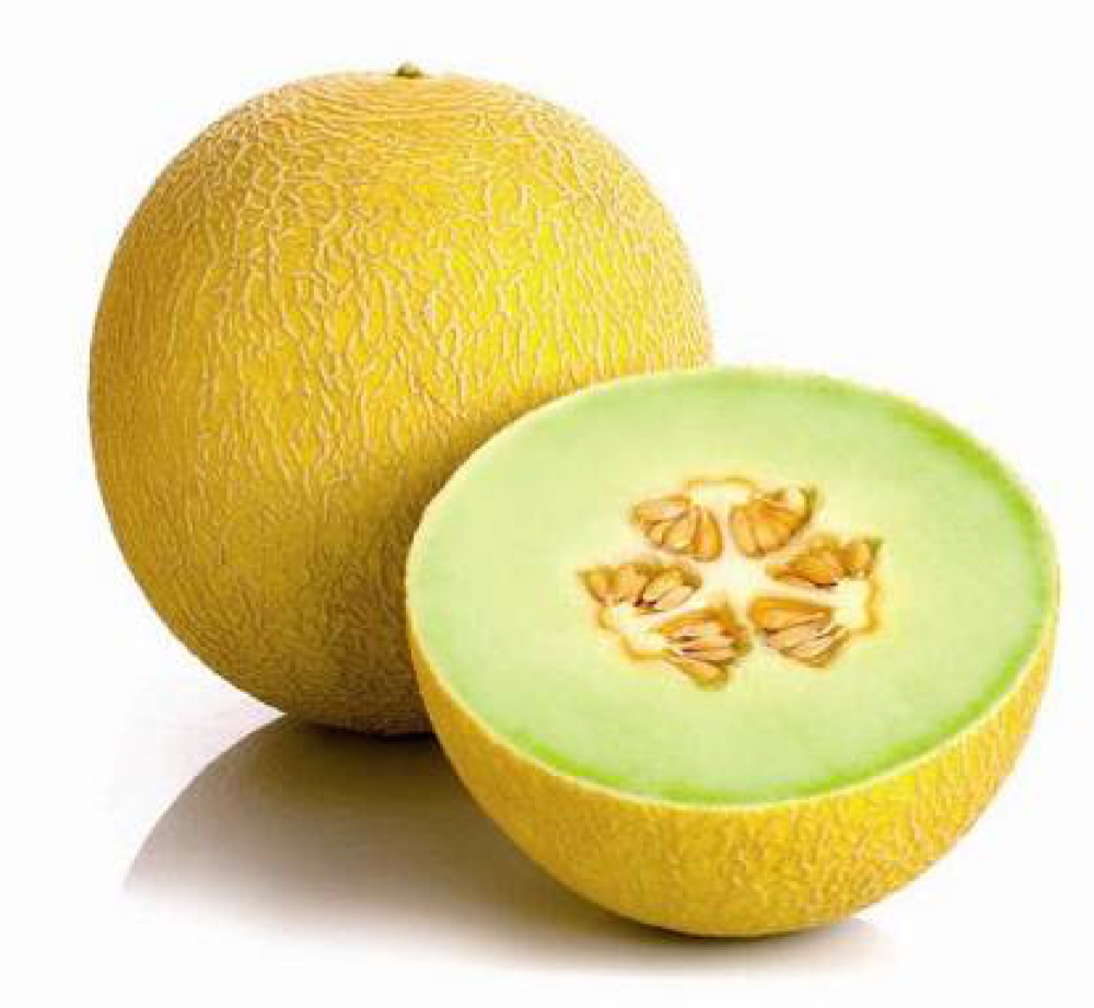 Melon Galia Vracolibri melon-galia-vracolibri