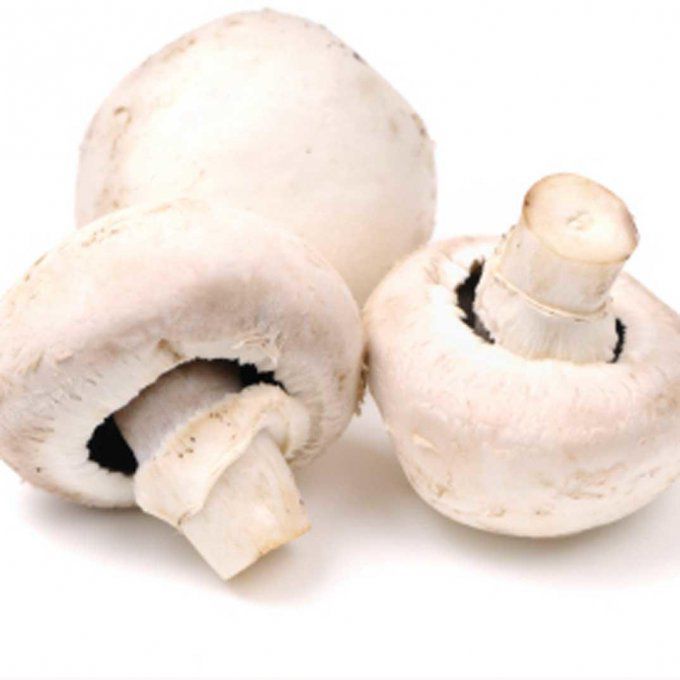 Champignons