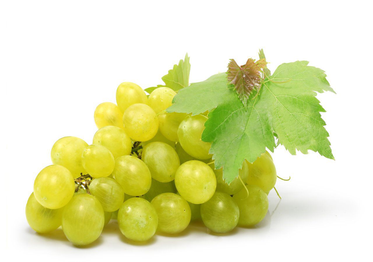 Raisins blanc sans pépin