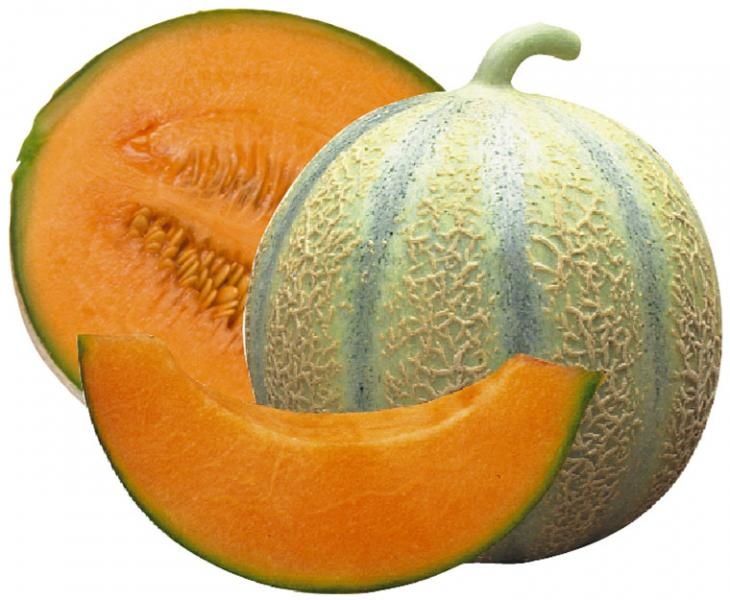 Melon Charentais (Espagne - France) 