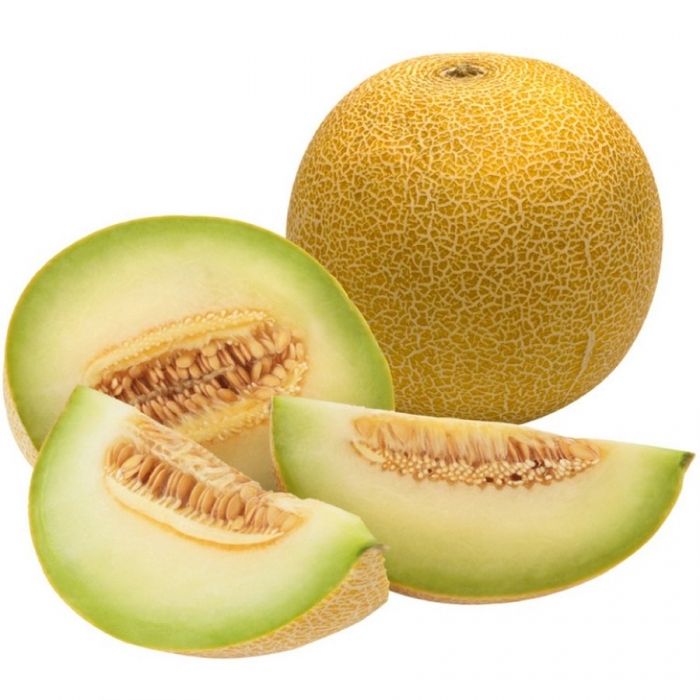 Melon Galia (Espagne)